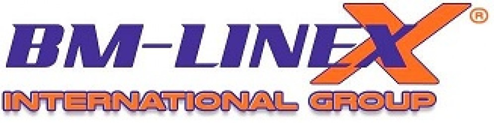 LOGO bm-linex-group